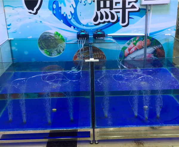 魚缸